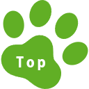トップへ戻るボタン