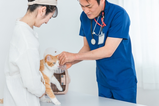 動物病院の画像