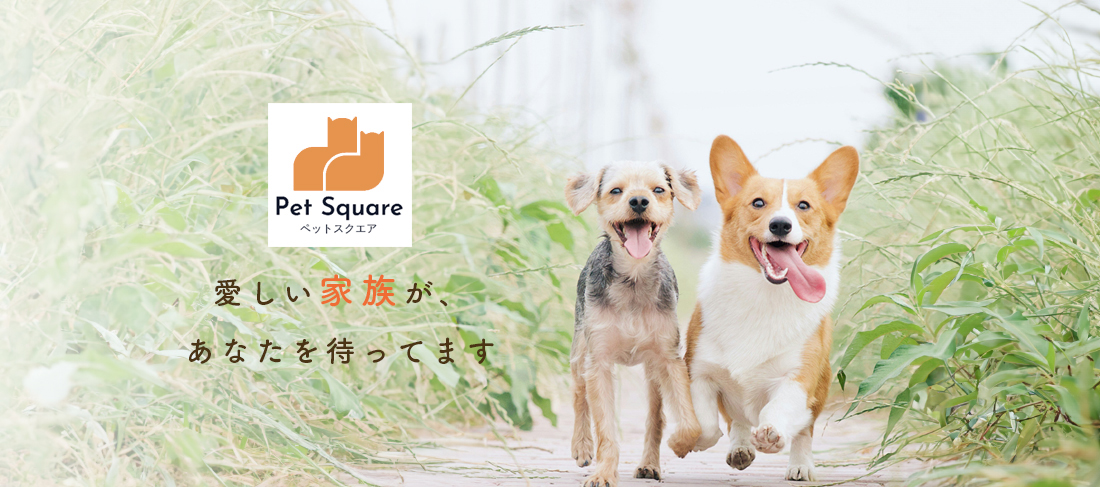 メインビジュアル1