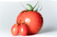 画像：野菜の洗浄のイメージ