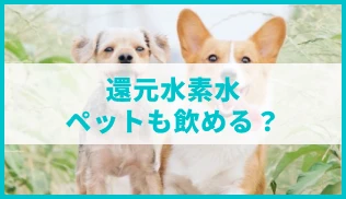 画像：ナノバブルサイトのサムネイル